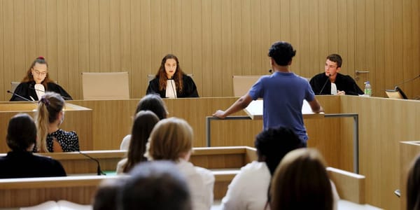 Deux historiennes françaises attaquées en justice par des révisionnistes.
