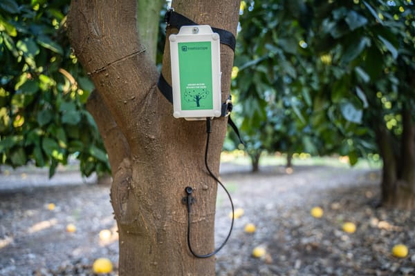 Treetoscope (Tel-Aviv) permet l’expansion de la technologie des capteurs à base de plantes.