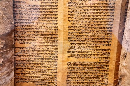 Israël, c’est unique. Des fonds énormes attribués pour la hiloula de Baba Salé.