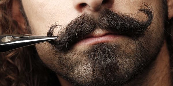 C’Israël. Le crash de Amir Peretz qui a même perdu sa moustache.
