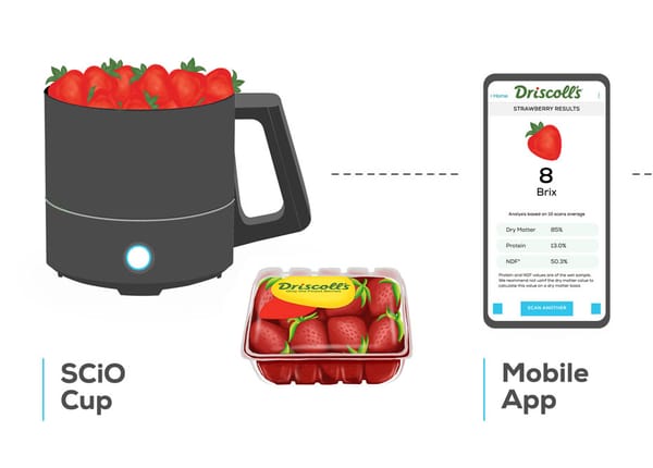 Le géant des fruits Driscoll’s adopte une solution technologique israélienne pour la mesure des baies.
