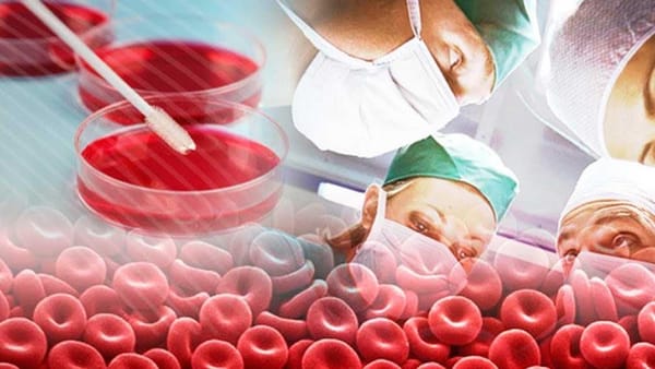 Une nouvelle percée israélienne dans le traitement contre le cancer du sang redonne espoir à des millions de personnes.