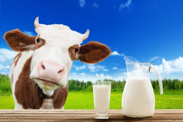 Le Groupe Strauss lance une gamme de lait « sans vache ».