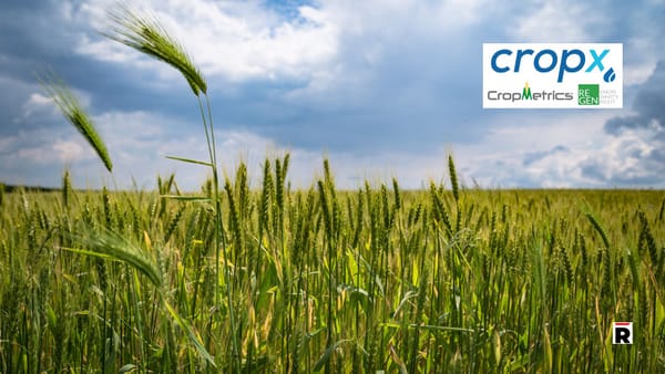 Le japonais NEC investit dans l’israélien Cropx qui voit  plus loin que l’irrigation.