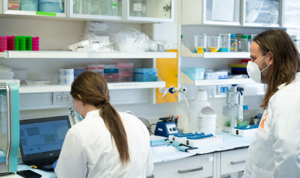 Covid-19. Les Bourses mondiales exultent avec l’annonce d’un vaccin efficace.