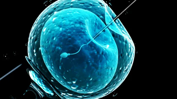 FIV Fécondation in Vitro. L’hôpital Assuta de Rishon dans la tourmente.