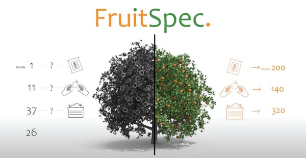 La société israélienne Fruitspec étend ses activités au Maroc.