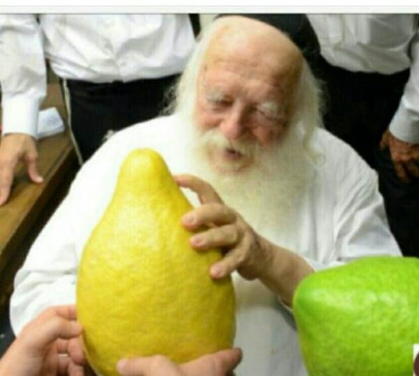 Le Rav Kanievsky a passé 5 ans à la tête du courant ultra-orthodoxe lituanien.