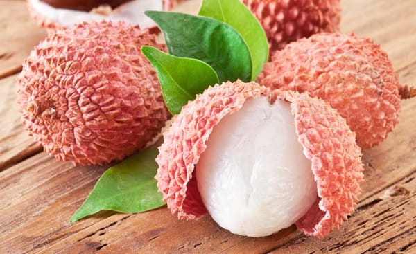 Pas d’alertes aux missiles! Le festival du litchi en Galilée occidentale est une merveille.