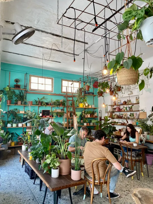 En Israël, on voit plus d’ordinateurs portables que de gens assis à la terrasse d’un café.