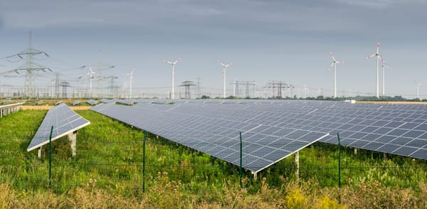 COP 29. Hyper actifs : Start-up Nation Central, MASHAV et le Fonds National Juif (JNF/KKL).