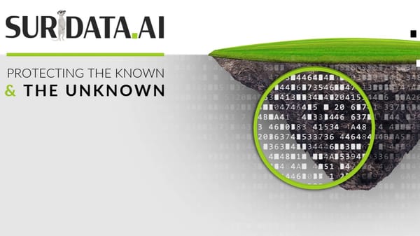 Sécurité informatique. Suridata.ai a les moyens de son développement.