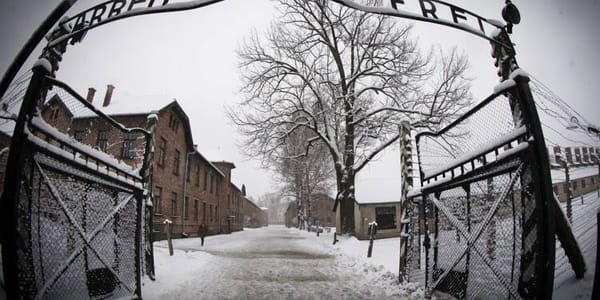 Le MDA, une activité de « traçage » des familles séparées par la Shoah.