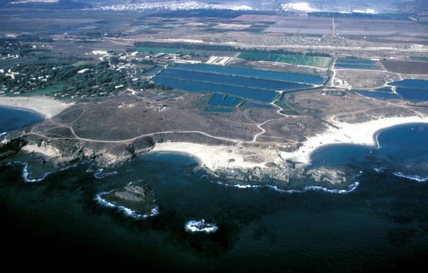 Des scientifiques découvrent les restes d’un ancien tsunami au large des côtes israéliennes.