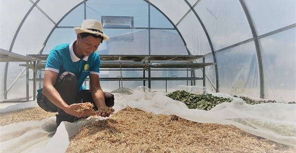 Des jeunes Vietnamiens lancent une ferme biologique après avoir étudié en Israël.